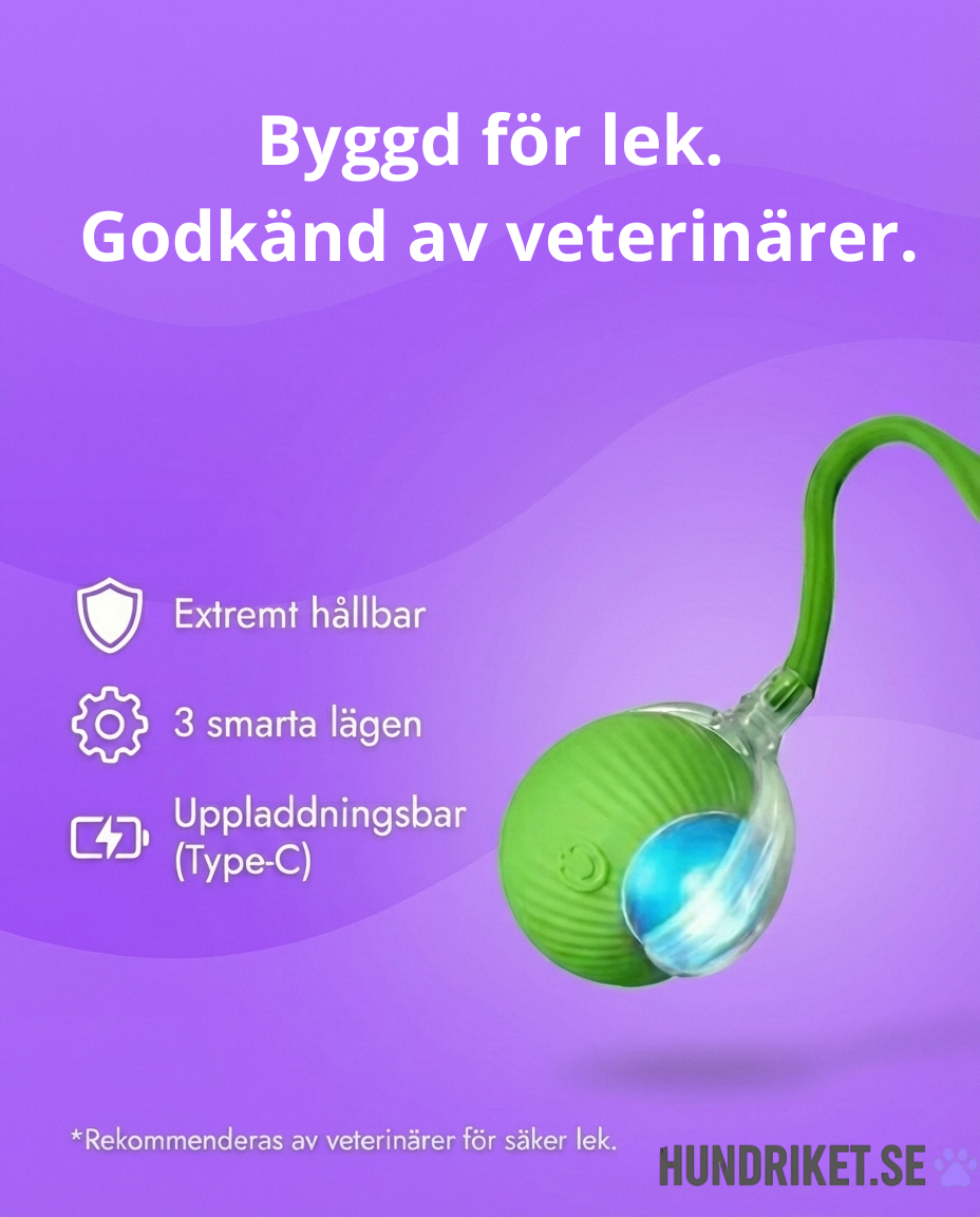 ViftSvansen™ – Säker & Interaktiv Hundleksak